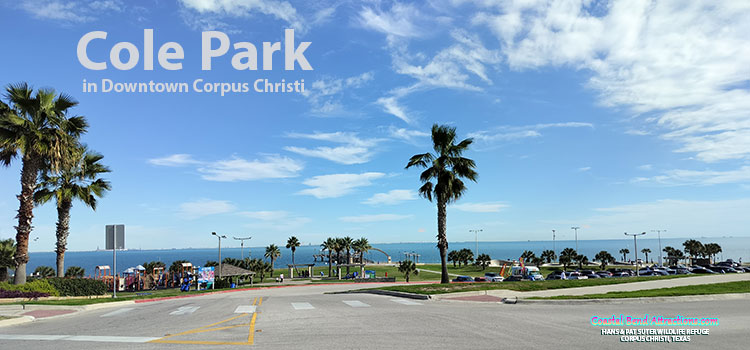 Cole Park