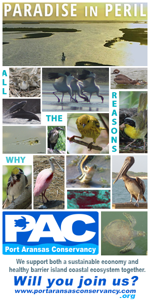 Join the Port Aransas Conservancy
